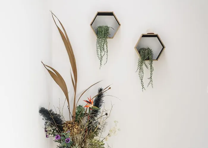 Villa More Vodice Vila *